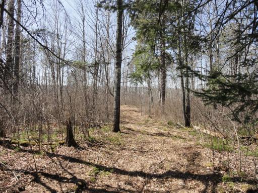 6157 Voyaguers Trail, Biwabik, MN 55708