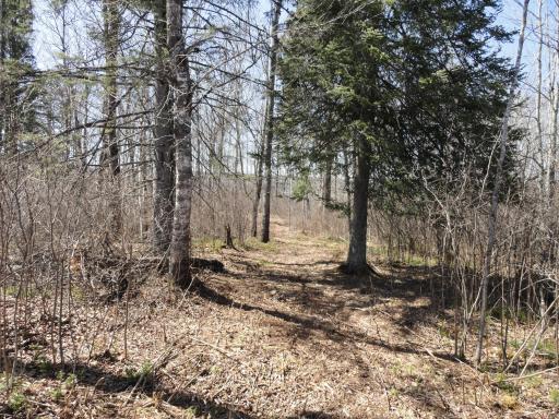 6157 Voyaguers Trail, Biwabik, MN 55708