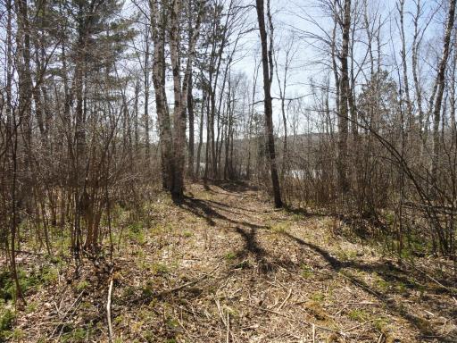 6157 Voyaguers Trail, Biwabik, MN 55708