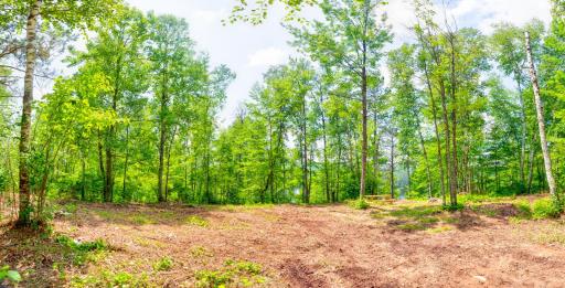 6157 Voyaguers Trail, Biwabik, MN 55708