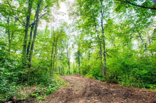 6157 Voyaguers Trail, Biwabik, MN 55708