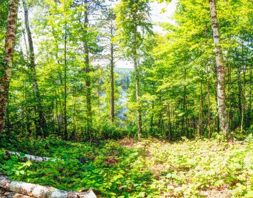 6157 Voyaguers Trail, Biwabik, MN 55708