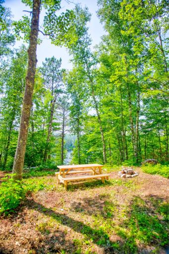 6157 Voyaguers Trail, Biwabik, MN 55708