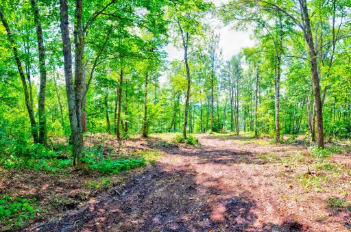 6157 Voyaguers Trail, Biwabik, MN 55708