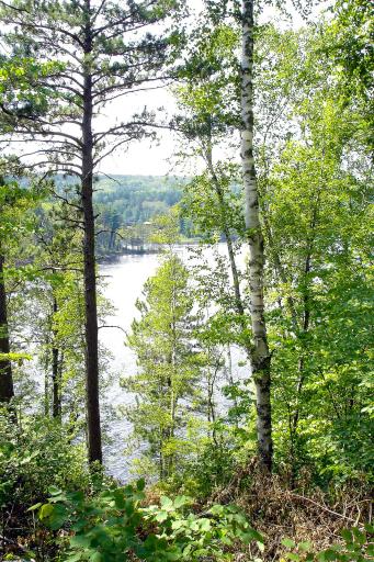 Voyageurs Retreat at Giants Ridge - Ridgeline Lot 4.
