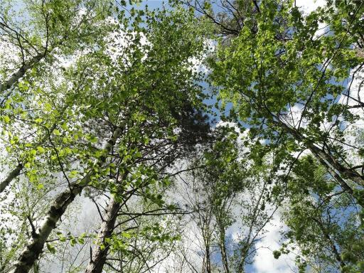 6157 Voyaguers Trail, Biwabik, MN 55708