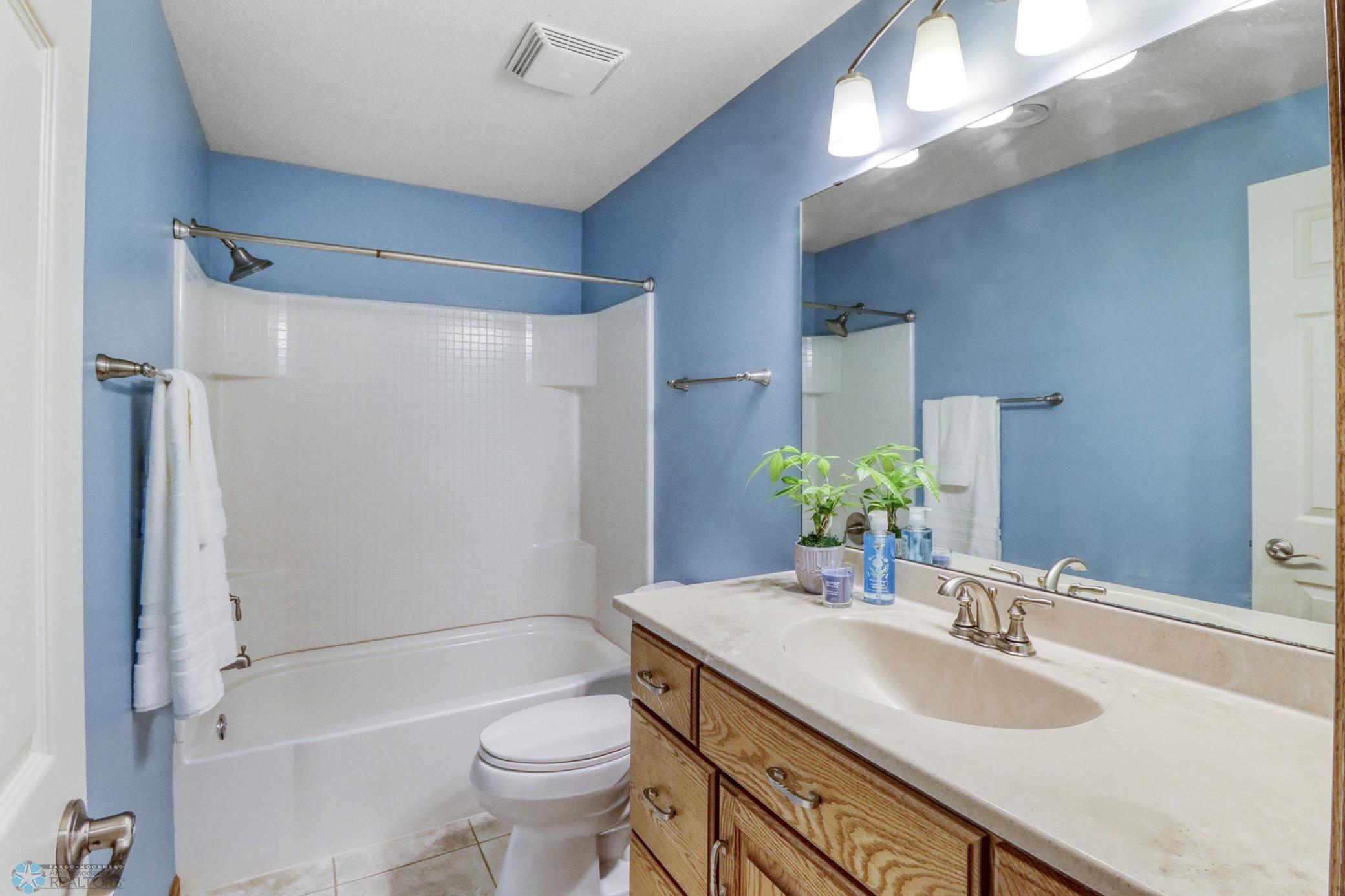 Full Bathroom in Basement