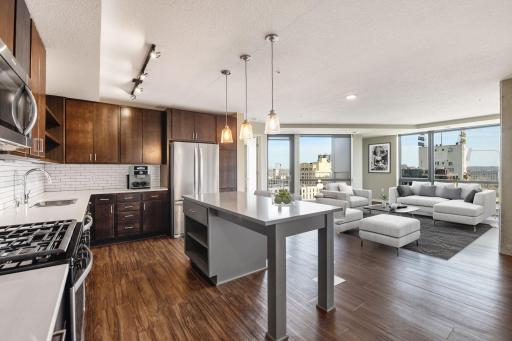 811 Washington Avenue S, 802, Minneapolis, MN 55415