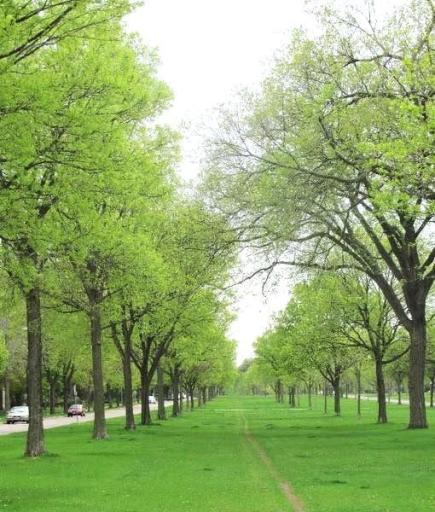 One block off of Victory memorial parkway