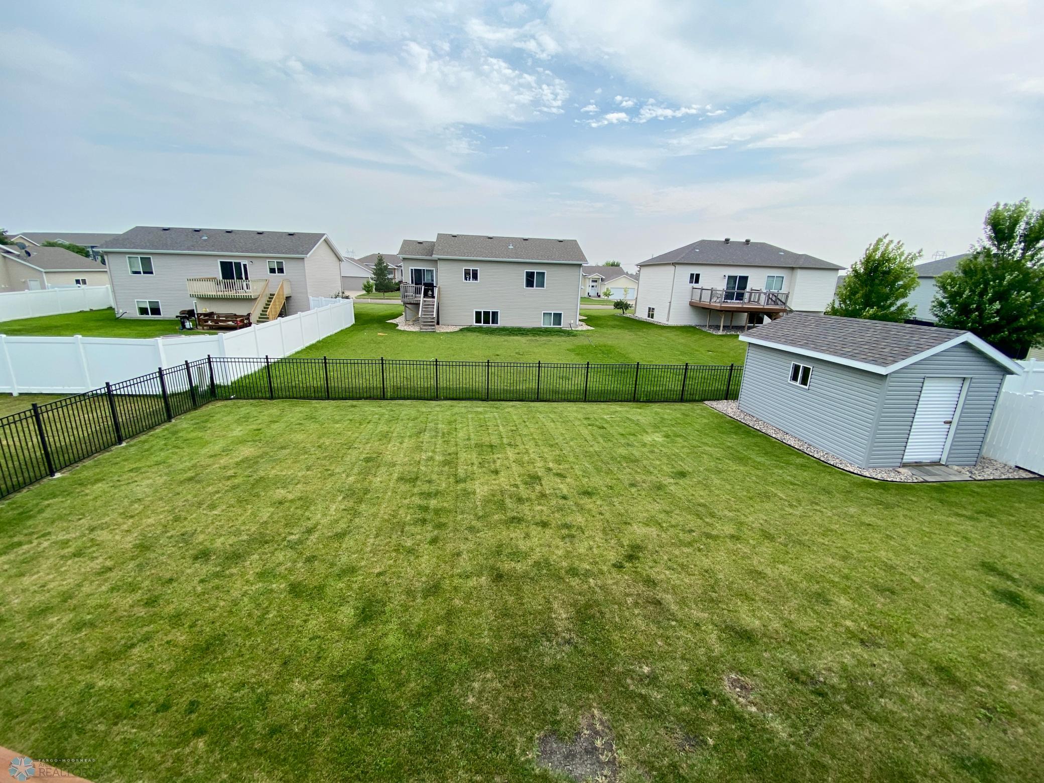 Backyard.JPG