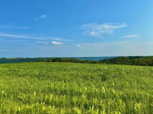 21706 County 26, Houston, MN 55943