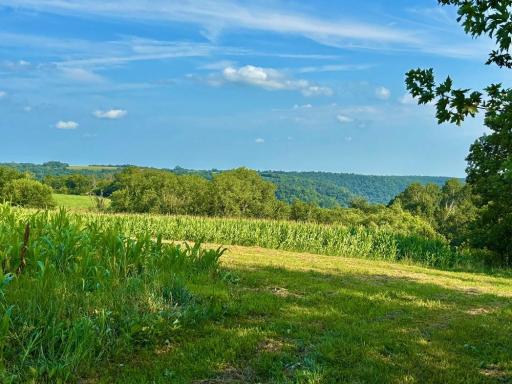 21706 County 26, Houston, MN 55943
