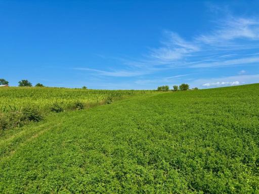 21706 County 26, Houston, MN 55943