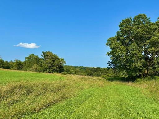 21706 County 26, Houston, MN 55943