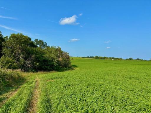 21706 County 26, Houston, MN 55943