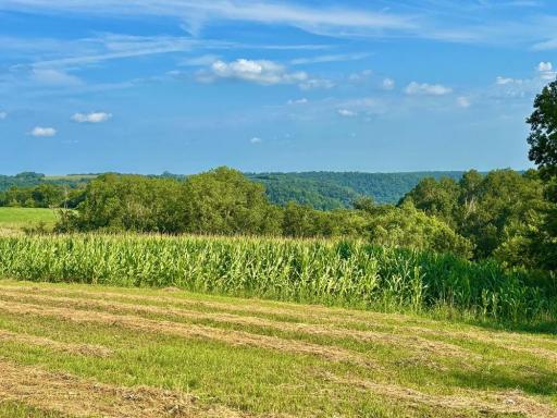 21706 County 26, Houston, MN 55943
