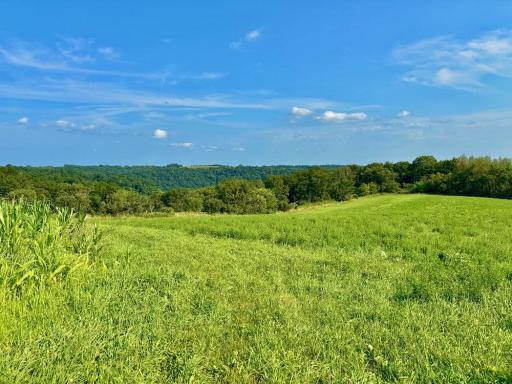 21706 County 26, Houston, MN 55943