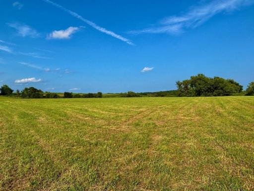 21706 County 26, Houston, MN 55943