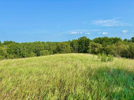 21706 County 26, Houston, MN 55943