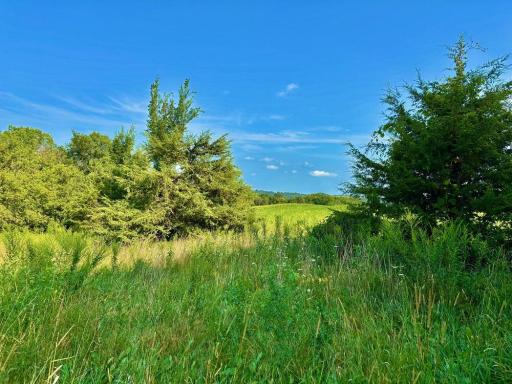 21706 County 26, Houston, MN 55943