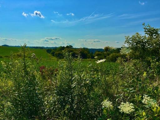 21706 County 26, Houston, MN 55943