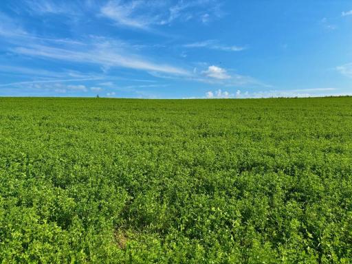 21706 County 26, Houston, MN 55943