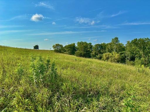 21706 County 26, Houston, MN 55943
