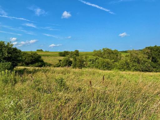 21706 County 26, Houston, MN 55943
