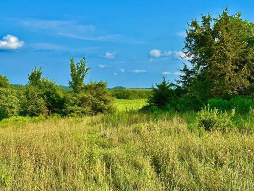21706 County 26, Houston, MN 55943