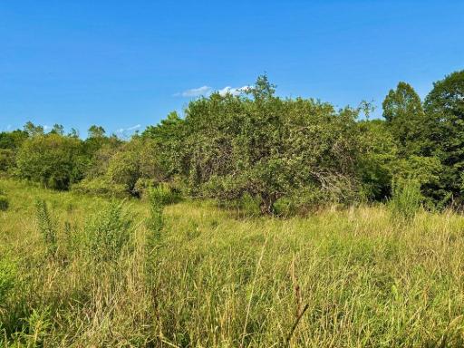 21706 County 26, Houston, MN 55943