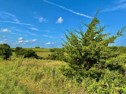 21706 County 26, Houston, MN 55943