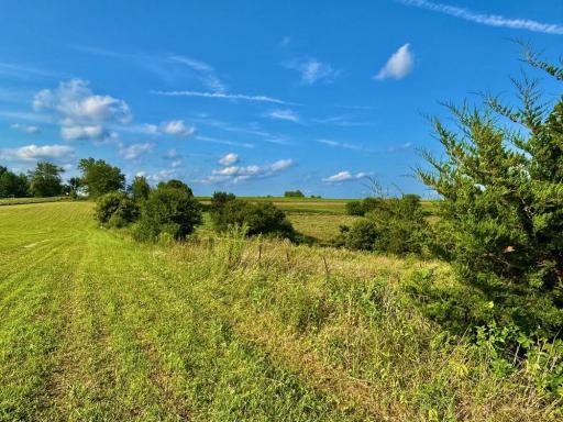21706 County 26, Houston, MN 55943