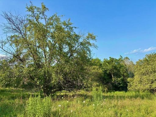 21706 County 26, Houston, MN 55943