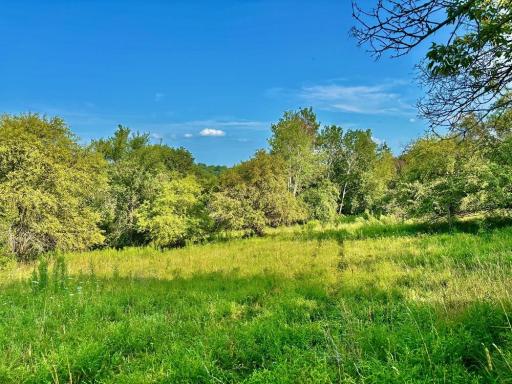 21706 County 26, Houston, MN 55943