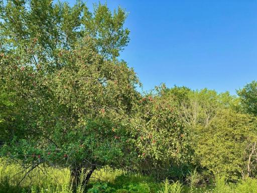 21706 County 26, Houston, MN 55943