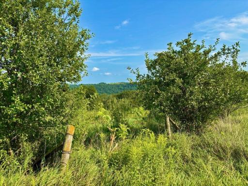 21706 County 26, Houston, MN 55943