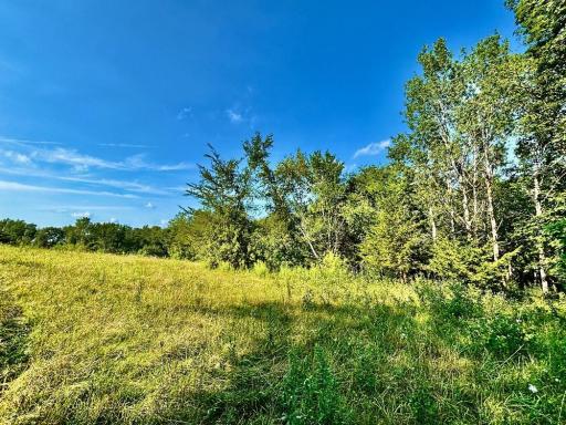 21706 County 26, Houston, MN 55943