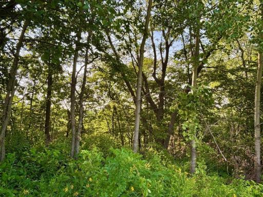 21706 County 26, Houston, MN 55943