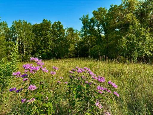 21706 County 26, Houston, MN 55943