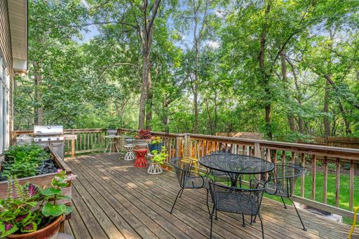 917 Parkview Lane, Victoria, MN 55386