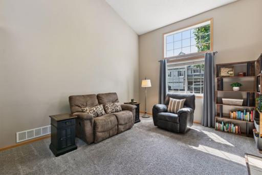Beautiful vaulted living room with a west facing window, drenched in natural light.