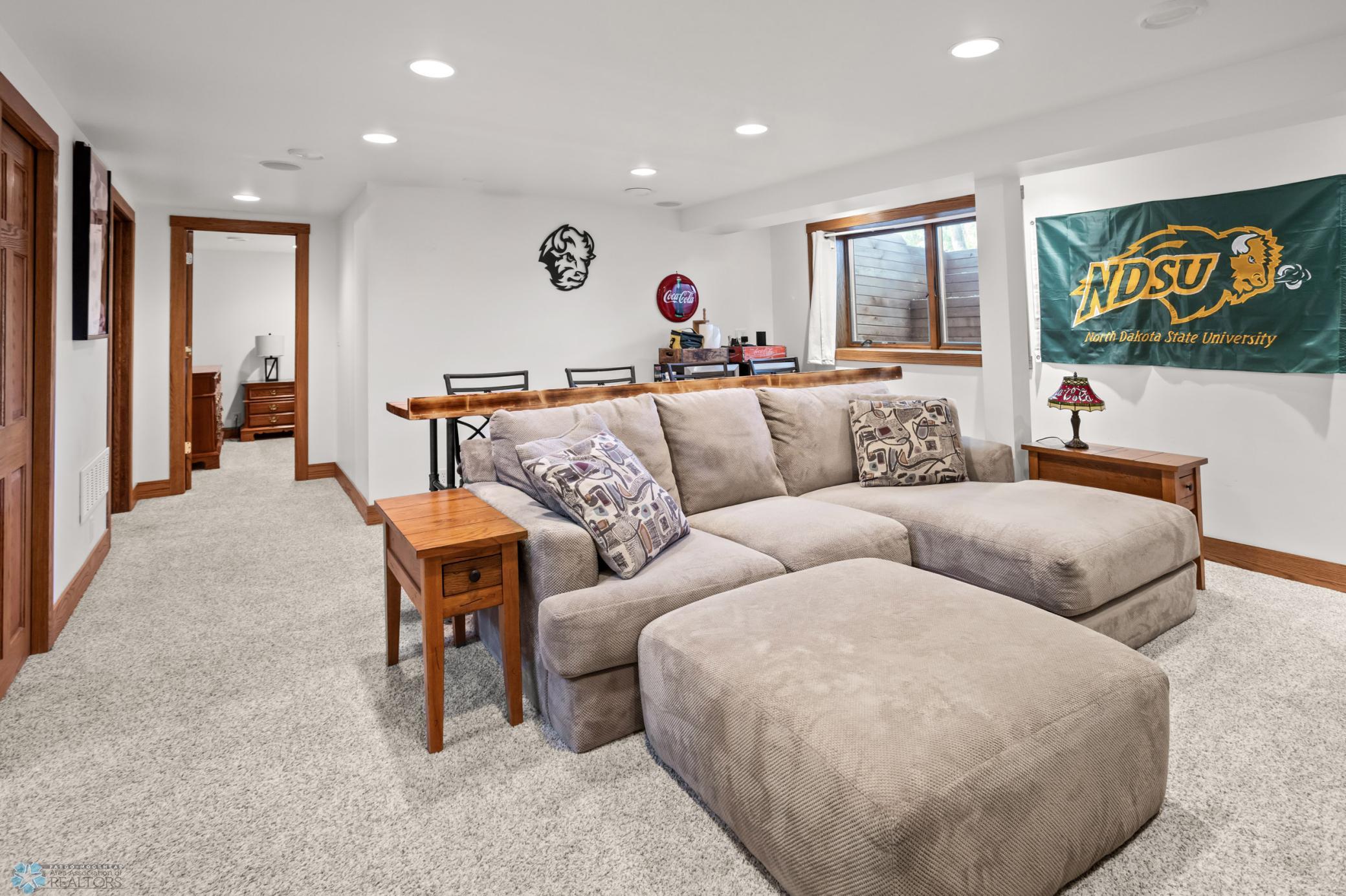 Basement Living Room