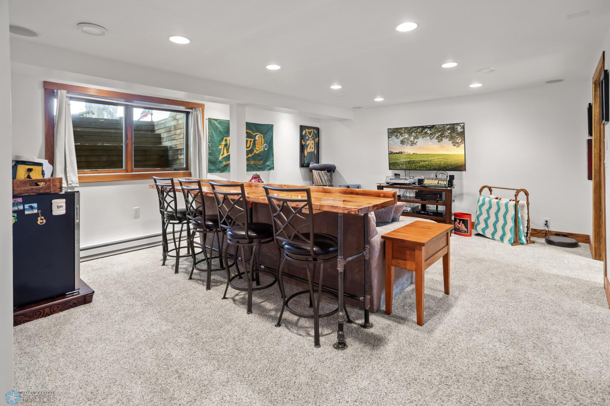 Basement Living Room
