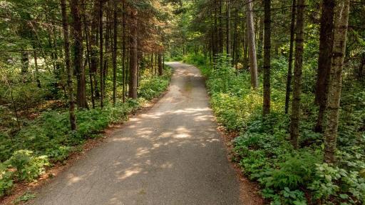 8734 White Oaks Trail, Pequot Lakes, MN 56472