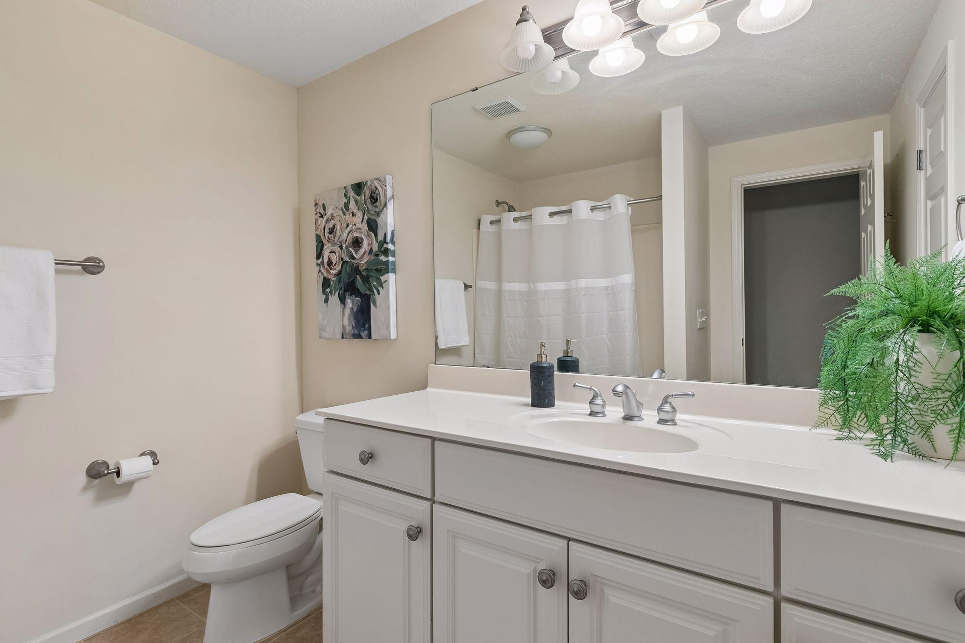 Lower level bathroom