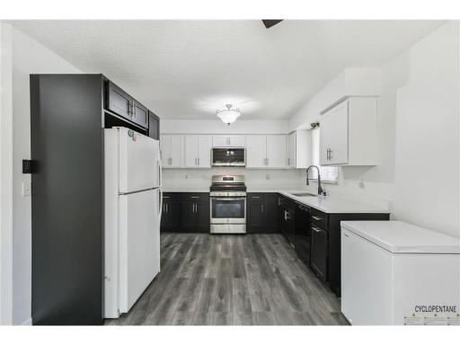 471 105th Avenue NW, Coon Rapids, MN 55448