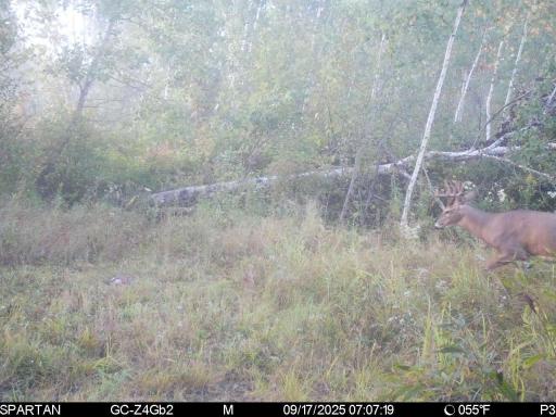 TBD 310th Avenue, Brook Park, MN 55007