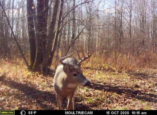 TBD 310th Avenue, Brook Park, MN 55007