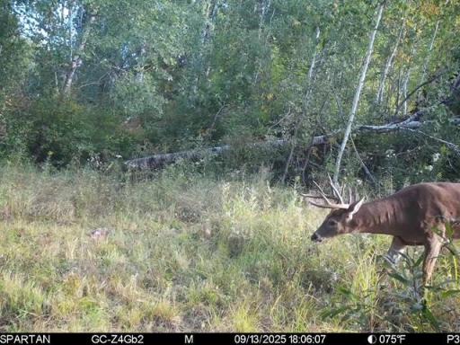 TBD 310th Avenue, Brook Park, MN 55007