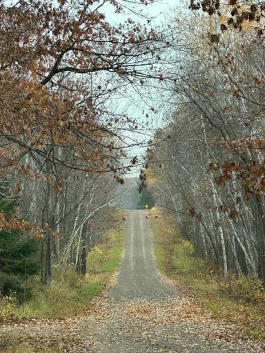 About halfway down the easement road as you are exiting the property.